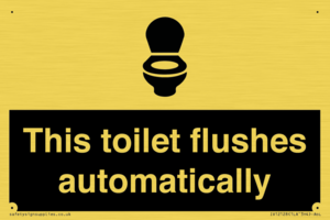 This toilet flushes automatically
